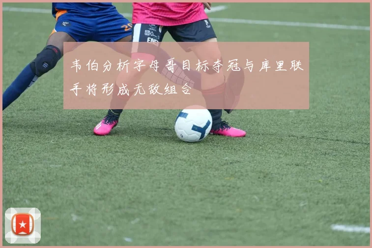 韦伯分析字母哥目标夺冠与库里联手将形成无敌组合