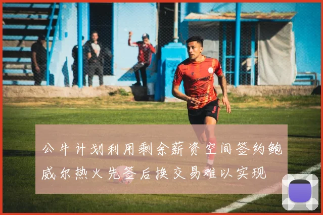 公牛计划利用剩余薪资空间签约鲍威尔热火先签后换交易难以实现