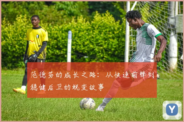 范德芬的成长之路：从快速前锋到稳健后卫的蜕变故事